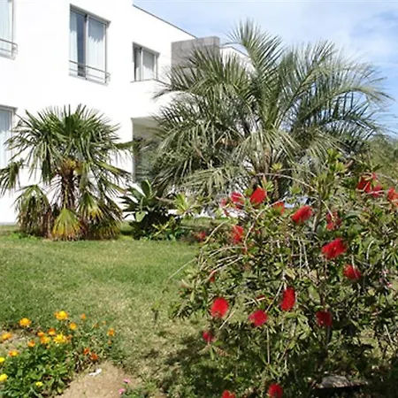 Vale Do Navio Capelas (Sao Miguel)